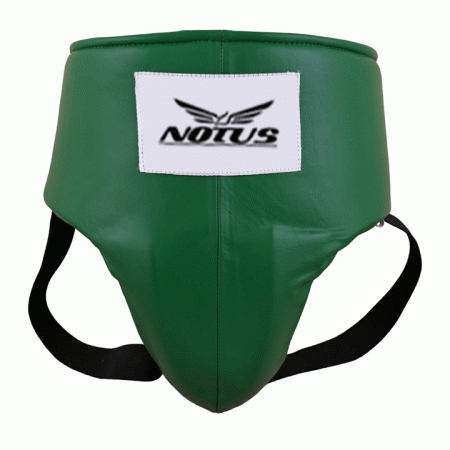 Groin Guard