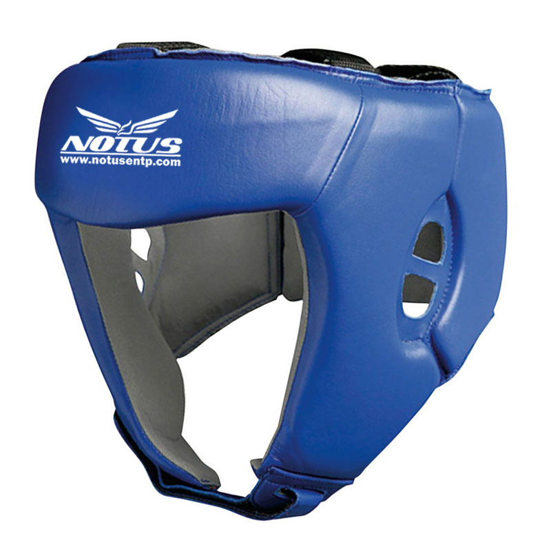 Head Guard